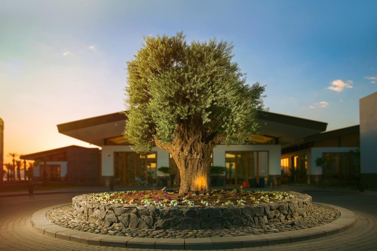 The Setai Sea Of Galilee Hotel Ein Gev Exterior photo